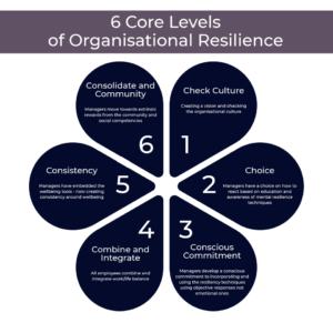 6 Levels of Organisational Resilience