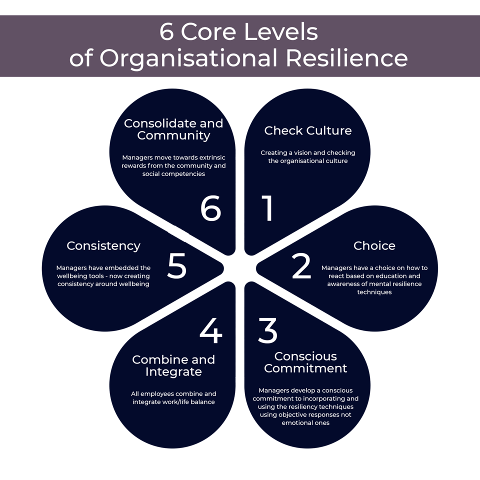 6 Levels of Organisational Resilience